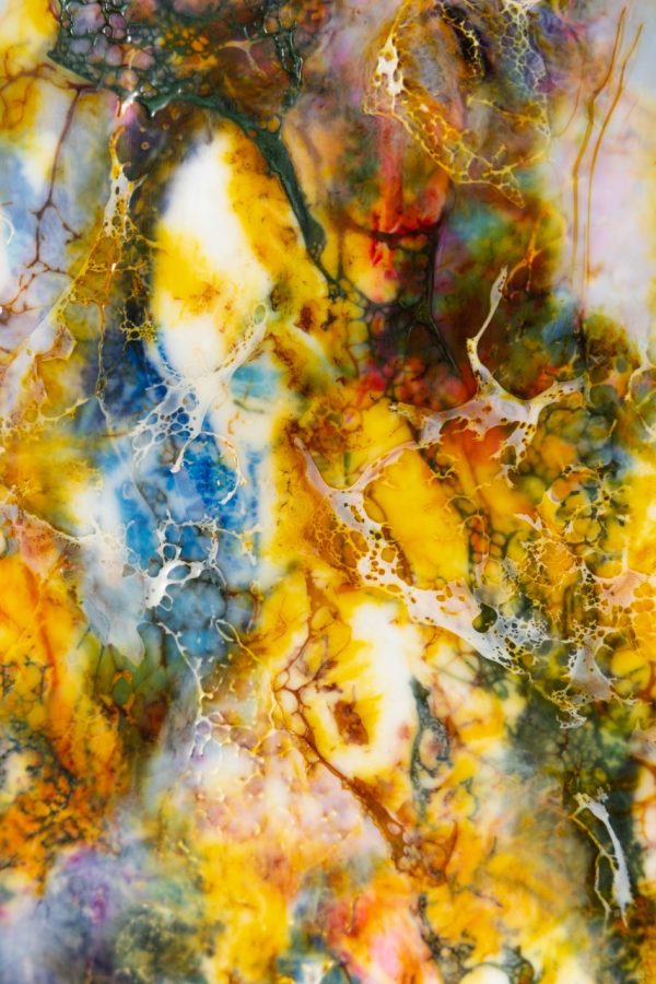 Product Image and Link for Coral – Encaustic Painting