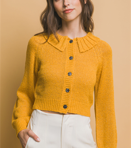 Product Image and Link for Posey Top