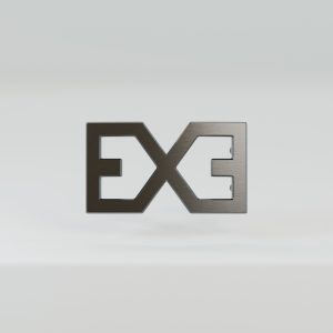 Product Image and Link for Black – EXE Buckle
