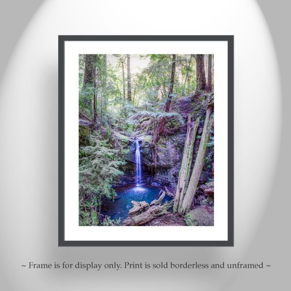 Product Image and Link for Big Basin California Redwood Forest Waterfall Art Print by MurrayBolesta