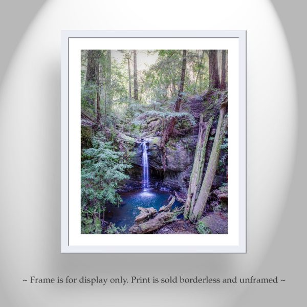 Product Image and Link for Big Basin California Redwood Forest Waterfall Art Print by MurrayBolesta