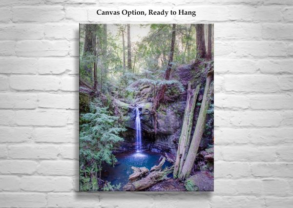 Product Image and Link for Big Basin California Redwood Forest Waterfall Art Print by MurrayBolesta