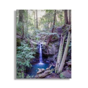 Product Image and Link for Big Basin California Redwood Forest Waterfall Art Print by MurrayBolesta