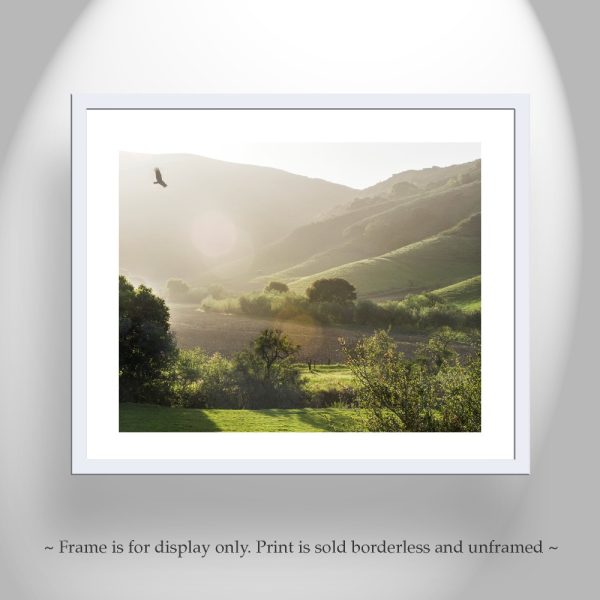 Product Image and Link for California Landscape Art Print with Lompoc Farm Countryside with Hawk Bird in Flight