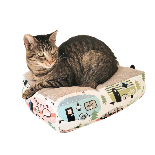 Product Image and Link for Cat Cloud