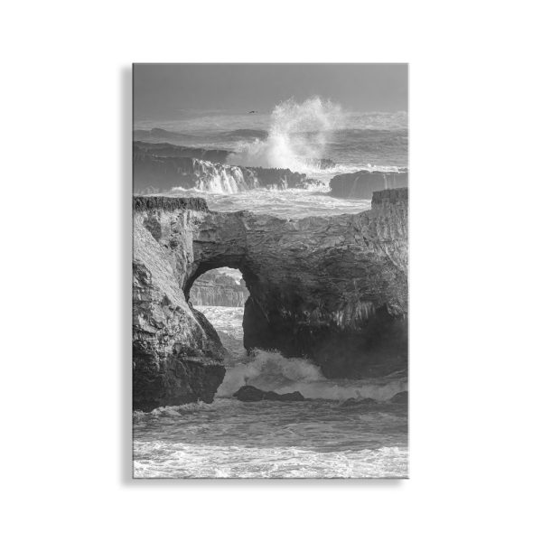 Product Image and Link for Mendocino Coast Painterly Art in Black and White | Vertical North Coast Print for Home or Office