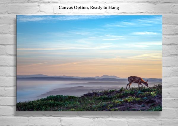 Product Image and Link for Marin County Coastal Art Print with Point Reyes Sunrise and Wild Deer