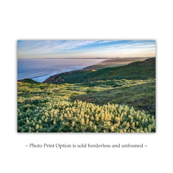 Product Image and Link for Point Reyes Marin County Art at California Coast with Wildflowers