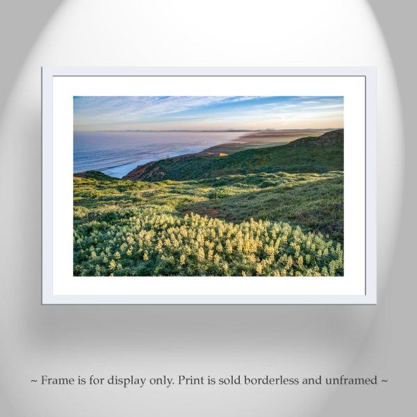 Product Image and Link for Point Reyes Marin County Art at California Coast with Wildflowers