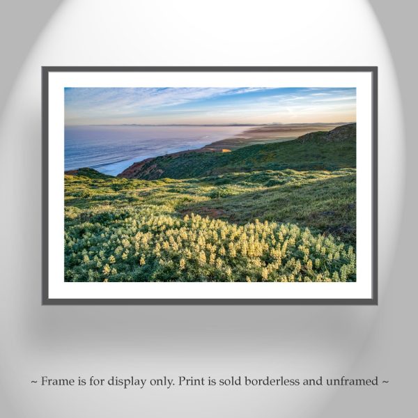 Product Image and Link for Point Reyes Marin County Art at California Coast with Wildflowers