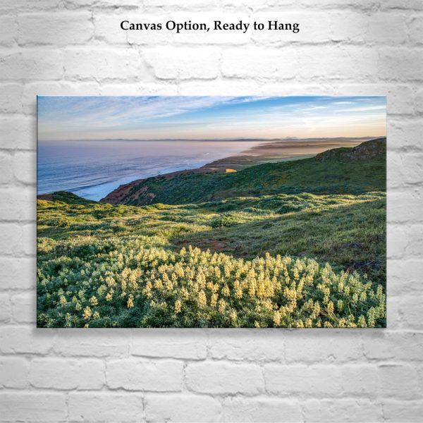 Product Image and Link for Point Reyes Marin County Art at California Coast with Wildflowers