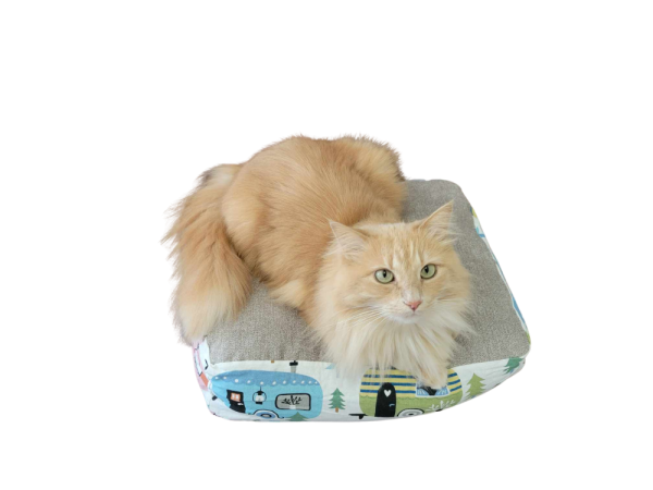 Product Image and Link for Cat Cloud