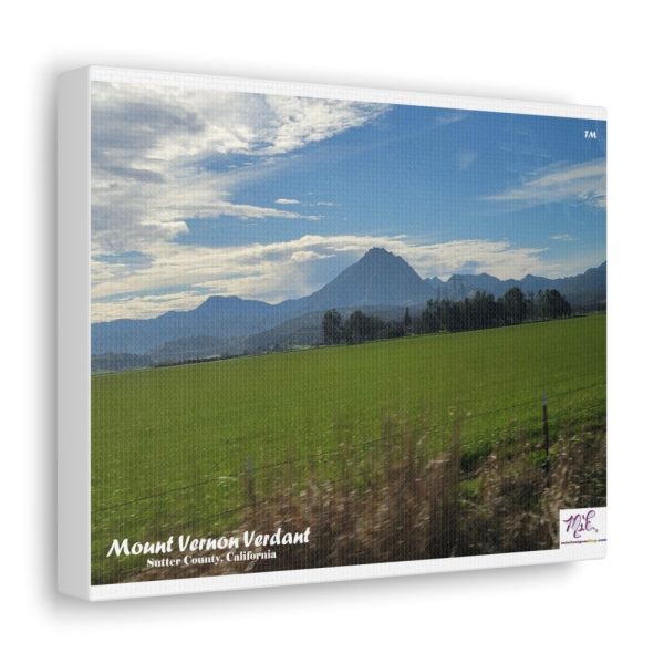 Product Image and Link for Canvas Gallery Wraps: “Mount Vernon Verdant(tm)”