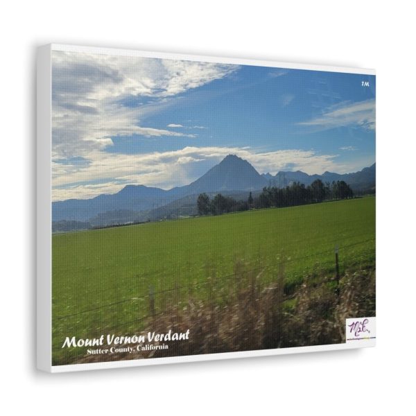 Product Image and Link for Canvas Gallery Wraps: “Mount Vernon Verdant(tm)”