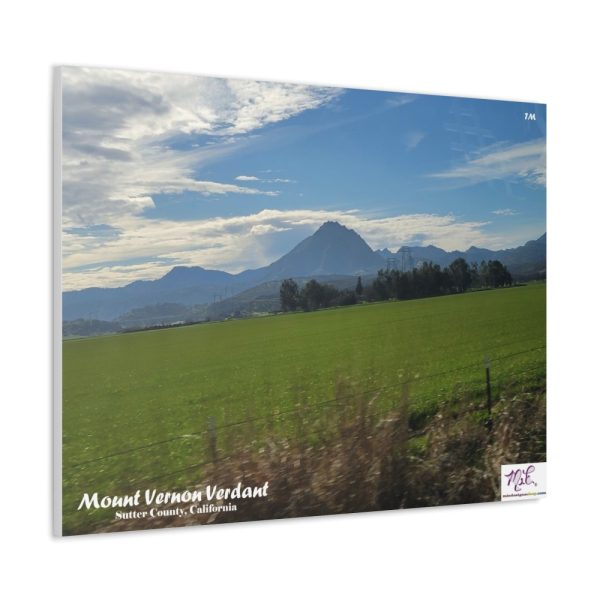 Product Image and Link for Canvas Gallery Wraps: “Mount Vernon Verdant(tm)”