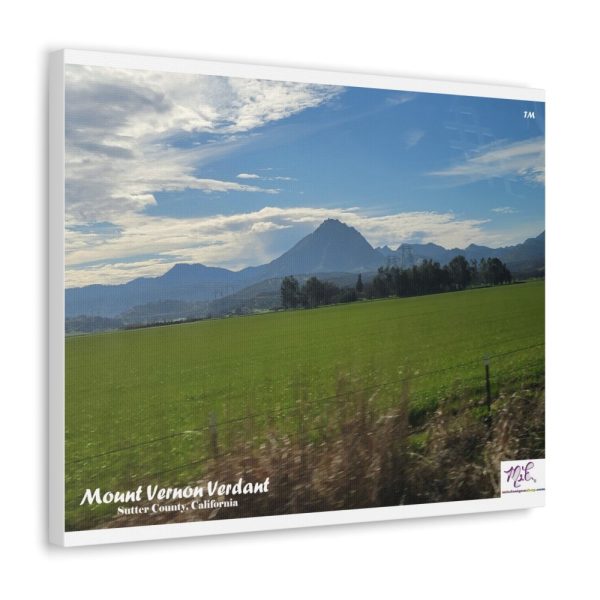 Product Image and Link for Canvas Gallery Wraps: “Mount Vernon Verdant(tm)”
