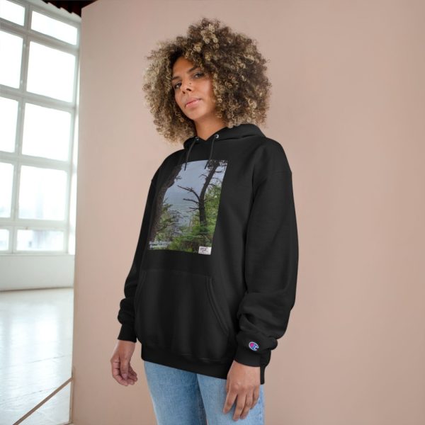 Product Image and Link for Champion Hoodie – “Beach Forest Humboldt(tm)” – Three Colors