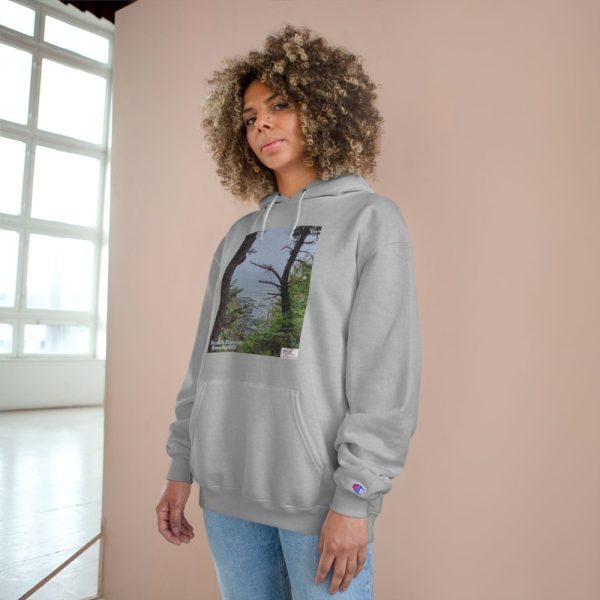 Product Image and Link for Champion Hoodie – “Beach Forest Humboldt(tm)” – Three Colors