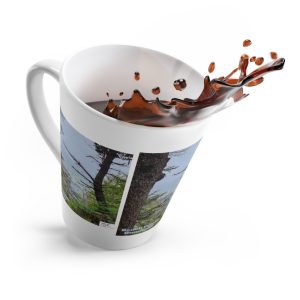 Product Image and Link for Latte Mug 12oz.: “Beach Forest Humboldt(tm)”