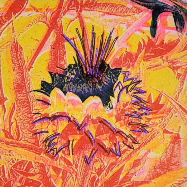Product Image and Link for “E Street Thistles” original risograph wall art
