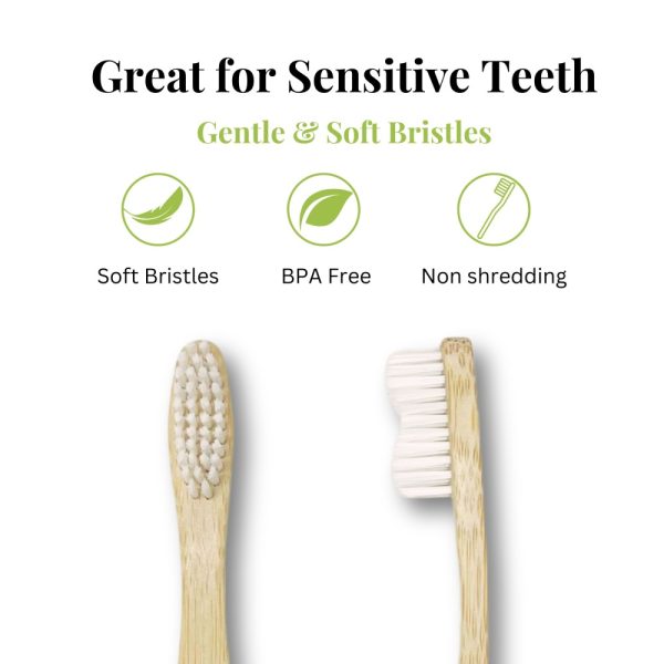 Product Image and Link for Hippotanicals Bamboo Toothbrushes – Set of 12