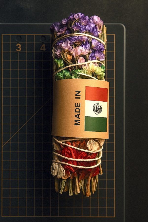 Product Image and Link for Mexican Sacred Sage