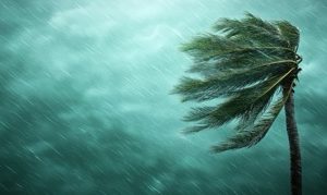 Product Image and Link for Entertainment Crisis Communications Retainer