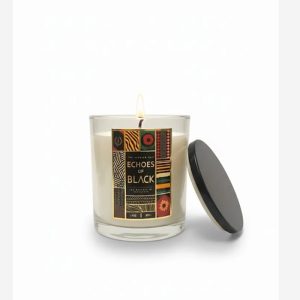 Product Image and Link for Echoes of Black