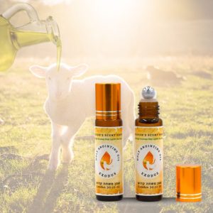 Product Image and Link for Exodus Oil – Anointing Blend